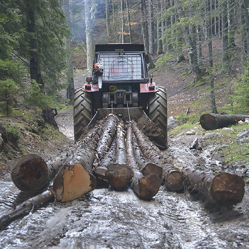 Waldmaschine, die mehrere Holzstämme zieht